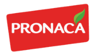 Pronaca